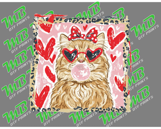 BUBBLEGUM KITTEN TRANSFER